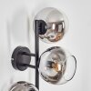 Koyoto Kula świetlna, Lampa ścienna Chrom, Przezroczysty, Przydymiony, 3-punktowe