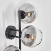 Koyoto Kula świetlna, Lampa ścienna Przezroczysty, Przydymiony, 3-punktowe