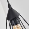 Cenova Lampa wisząca, Lampa wisząca Czarny, 4-punktowe
