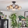 Ripoll Lampa sufitowa, Kula świetlna W kolorze bursztynu, Przezroczysty, Przydymiony, 5-punktowe