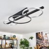 Jenar Lampa sufitowa LED Czarny, 1-punktowy