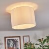 Bassagoda Lampa sufitowa Biały, 1-punktowy