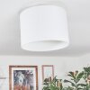 Bassagoda Lampa sufitowa Biały, 1-punktowy