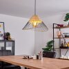 Shalo Lampa Wisząca Czarny, 1-punktowy