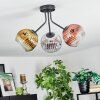 Koyoto Lampa sufitowa, Kula świetlna 42 cm Chrom, Złoty, Przezroczysty, W kolorze miedzi, Przydymiony, 3-punktowe