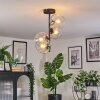 Koyoto lampa sufitowa, kula świetlna przezroczysty, 4-punktowe
