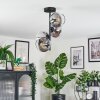 Koyoto Lampa sufitowa, Kula świetlna 32 cm Przezroczysty, Przydymiony, 4-punktowe