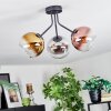Koyoto Lampa sufitowa, Kula świetlna 42 cm Chrom, Złoty, Przezroczysty, W kolorze miedzi, Przydymiony, 3-punktowe