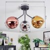 Ripoll Lampa sufitowa, Kula świetlna Chrom, Złoty, W kolorze miedzi, Przydymiony, 3-punktowe