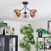 Koyoto lampa sufitowa, kula świetlna 42 cm złoty, przezroczysty, miedziany, przydymiony, 3-punktowe