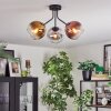Koyoto lampa sufitowa, kula świetlna 42 cm złoty, przezroczysty, miedziany, przydymiony, 3-punktowe