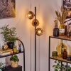 Ripoll Lampa stojąca Przezroczysty, W kolorze miedzi, 3-punktowe