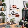 Gastor Lampa wisząca, Kula świetlna, Lampa wisząca W kolorze bursztynu, Chrom, Przezroczysty, W kolorze miedzi, Przydymiony, 6-punktowe