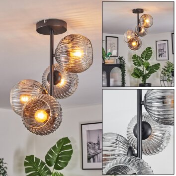 Ripoll lampa sufitowa, kula świetlna przezroczysty, przydymiony, 4-punktowe