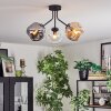 Ripoll Lampa sufitowa, Kula świetlna W kolorze bursztynu, Przezroczysty, Przydymiony, 3-punktowe