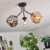 Ripoll Lampa sufitowa, Kula świetlna W kolorze bursztynu, Przezroczysty, Przydymiony, 3-punktowe