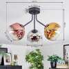 Ripoll Lampa sufitowa, Kula świetlna Chrom, Złoty, Przezroczysty, W kolorze miedzi, Przydymiony, 3-punktowe