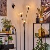 Koyoto Kula świetlna, Lampa stojąca Przezroczysty, 3-punktowe