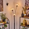 Koyoto Kula świetlna, Lampa stojąca Przezroczysty, 3-punktowe