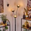 Koyoto Kula świetlna, Lampa stojąca Przezroczysty, Przydymiony, 3-punktowe