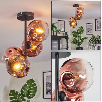 Ripoll Lampa sufitowa, Kula świetlna Przezroczysty, W kolorze miedzi, 4-punktowe