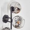 Ripoll Kula świetlna, Lampa ścienna Chrom, Przezroczysty, Przydymiony, 3-punktowe