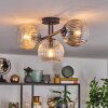 Gastor lampa sufitowa, kula świetlna bursztynowy, przezroczysty, przydymiony, 3-punktowe