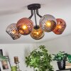 Ripoll Lampa sufitowa, Kula świetlna Chrom, Złoty, W kolorze miedzi, Przydymiony, 5-punktowe