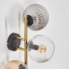 Koyoto Kula świetlna, Lampa ścienna Złoty, Czarny, 3-punktowe