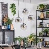 Ripoll Lampa wisząca, Kula świetlna, Lampa wiszącego klastra Chrom, Przezroczysty, Przydymiony, 4-punktowe