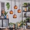 Ripoll Lampa wisząca, Kula świetlna, Lampa wiszącego klastra W kolorze miedzi, 4-punktowe