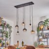 Koyoto lampa wisząca, kula świetlna, lampa wisząca bursztynowy, przezroczysty, przydymiony, 6-punktowe