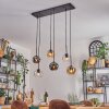 Ripoll lampa wisząca, kula świetlna, lampa wisząca bursztynowy, przezroczysty, przydymiony, 6-punktowe