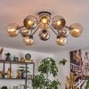 Koyoto Lampa sufitowa, Kula świetlna 81 cm W kolorze bursztynu, Chrom, Przydymiony, 10-punktowe