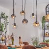 Ripoll lampa wisząca, kula świetlna, lampa wisząca bursztynowy, przezroczysty, przydymiony, 6-punktowe