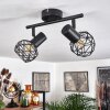 Palmira Lampa Sufitowa Czarny, 2-punktowe