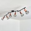 Baripada Lampa Sufitowa Czarny, 6-punktowe