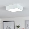 Netstal Lampa Sufitowa LED Biały, 1-punktowy