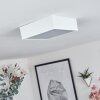 Netstal Lampa Sufitowa LED Biały, 1-punktowy
