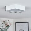 Netstal Lampa Sufitowa LED Biały, 1-punktowy