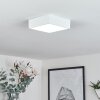 Netstal Lampa Sufitowa LED Biały, 1-punktowy
