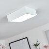 Netstal Lampa Sufitowa LED Biały, 1-punktowy
