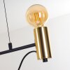 Gnarp Lampa Wisząca Czarno-złoty, 4-punktowe