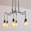 Cuyama Lampa Wisząca Czarny, 6-punktowe