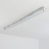 Ilena Oświetlenie zewnętrzne, Lampa łazienkowa, Lampa sufitowa LED Szary, 1-punktowy