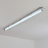 Ilena Oświetlenie zewnętrzne, Lampa łazienkowa, Lampa sufitowa LED Szary, 1-punktowy
