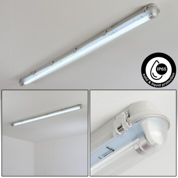 Ilena Oświetlenie zewnętrzne, Lampa łazienkowa, Lampa sufitowa LED Szary, 1-punktowy