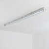 Ilena Oświetlenie zewnętrzne, Lampa łazienkowa, Lampa sufitowa LED Szary, 1-punktowy