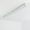Ilena Oświetlenie zewnętrzne, Lampa łazienkowa, Lampa sufitowa LED Szary, 1-punktowy