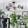 Gastor Lampa sufitowa, Kula świetlna 50 cm Niebeieski, Zielony, Przezroczysty, W kolorze miedzi, 6-punktowe